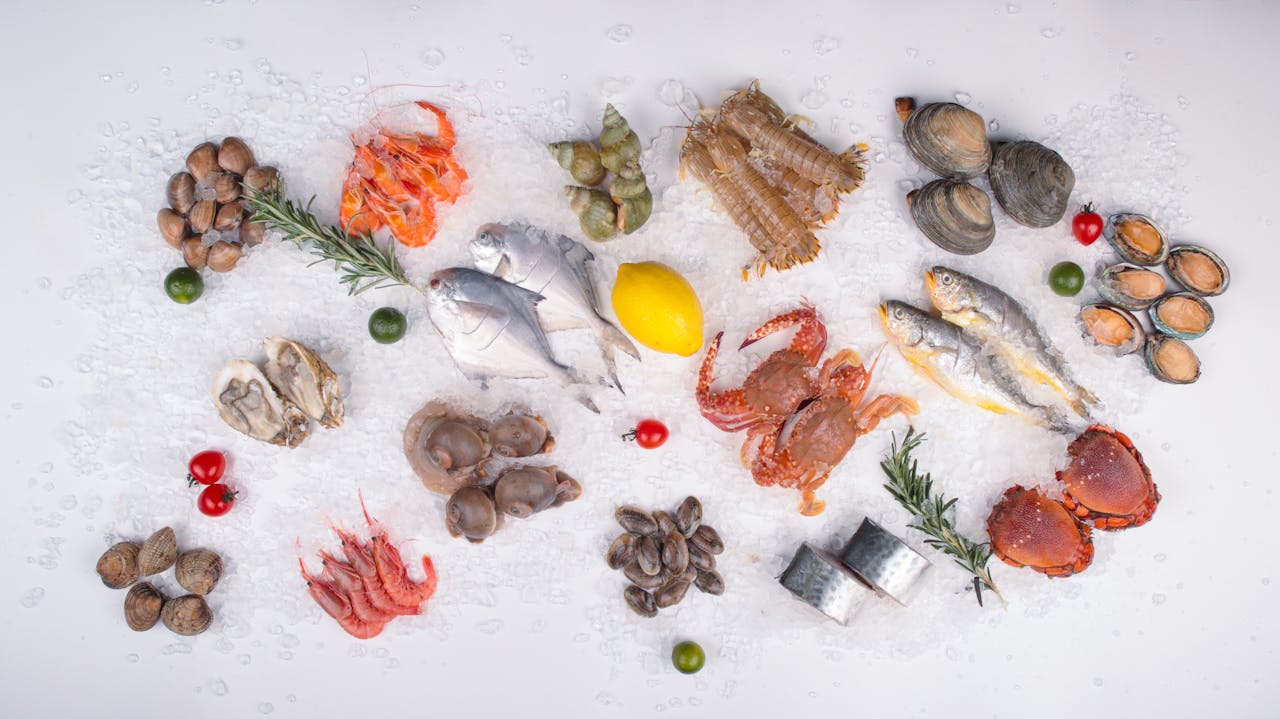 Abundance of Frozen Seafood